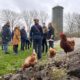 Gratis cursus