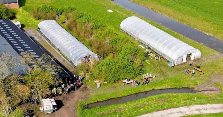 Yne Sinne Farm