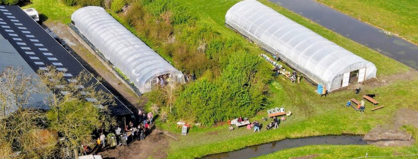Yne Sinne Farm
