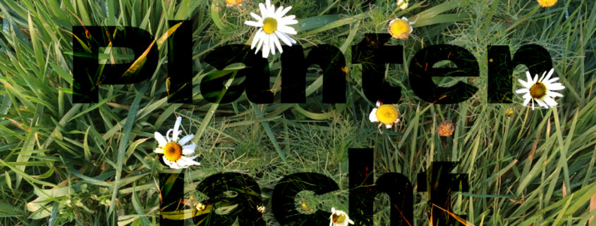 plantenjacht