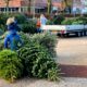 kerstbomen