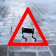 code rood