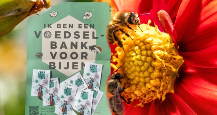 bijen
