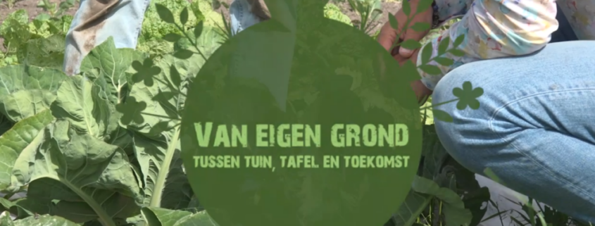 volkstuin