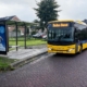 staking